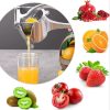 Fruit Press Manual Hand Press Juicer