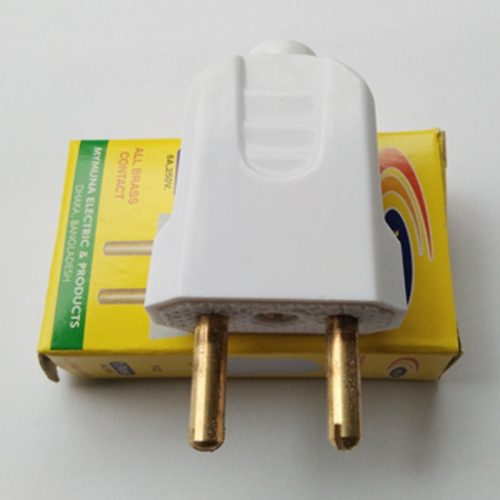 2 pin plug