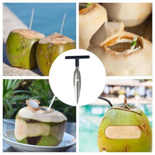 7e523c7d-e40f-4bc8-88d3-59438fb2f25a Coconut Hole Opener/Coconut Opener/Coconut Cutter/Dab Opener