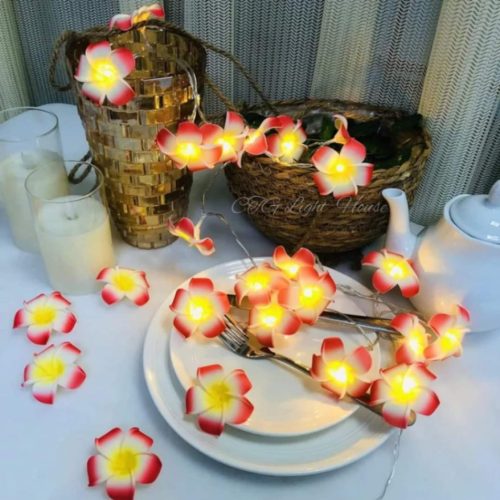 Artificial Plumeria String Light, Led kathgolap Flower Fairy Light