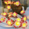 Artificial Plumeria String Light, Led kathgolap Flower Fairy Light
